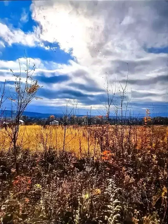 Участок в Воронежская область, Семилукский район, Губаревское с/пос, ... - Фото 1