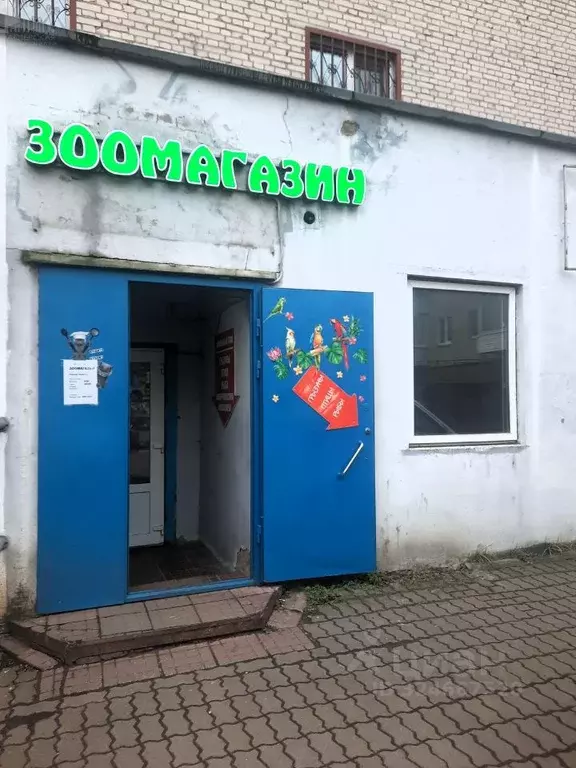 Помещение свободного назначения в Московская область, Истра ул. ... - Фото 1