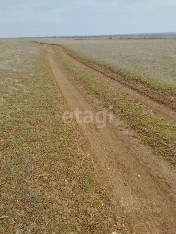 Участок в Крым, Черноморский район, с. Окуневка  (6.0 сот.) - Фото 1