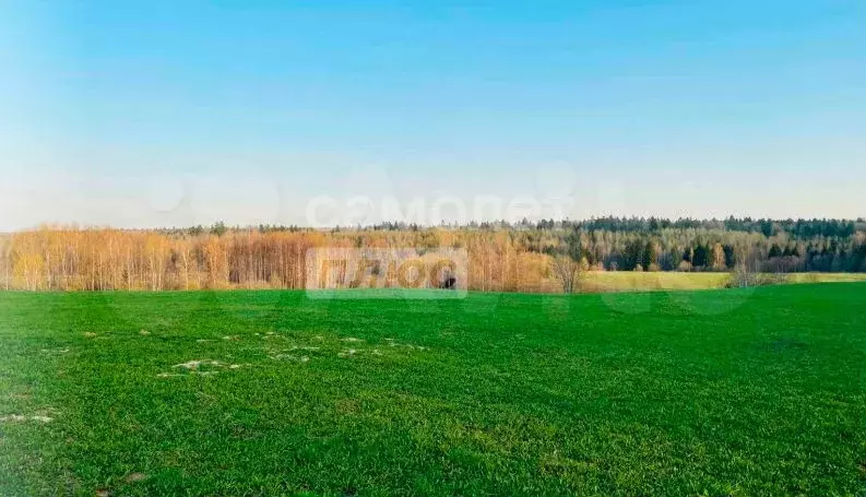 Участок 9,8 сот. (СНТ, ДНП) - Фото 1