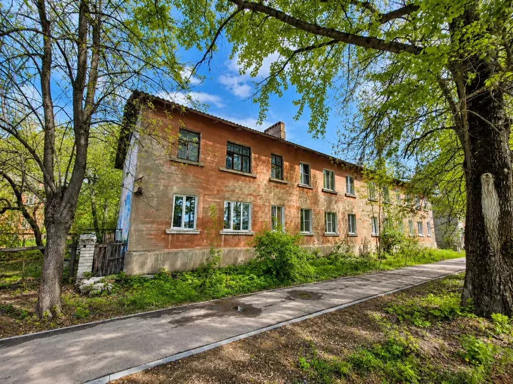 3-к кв. Нижегородская область, Бор ул. Сергея Везломцева, 1 (40.9 м) - Фото 1
