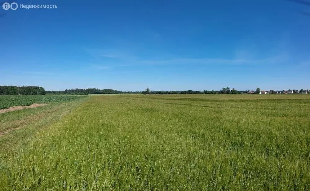 Участок в Краснодарский край, муниципальное образование Анапа, посёлок ... - Фото 0