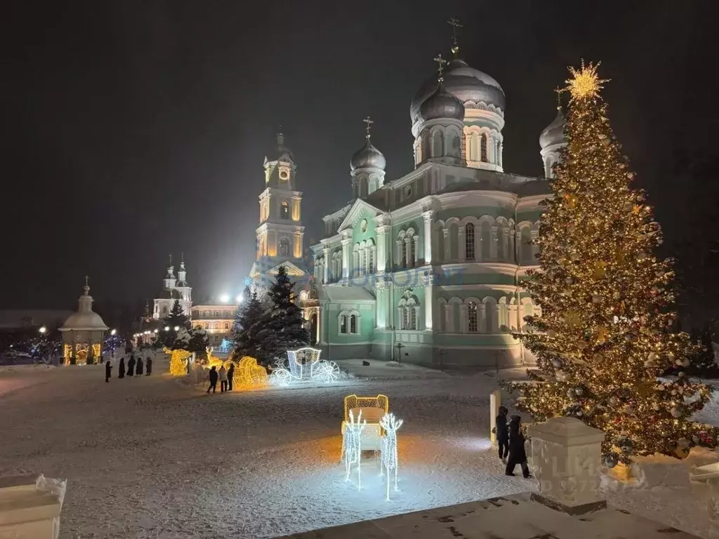Участок в Нижегородская область, с. Дивеево ул. Дружная, 7 (20.6 сот.) - Фото 2