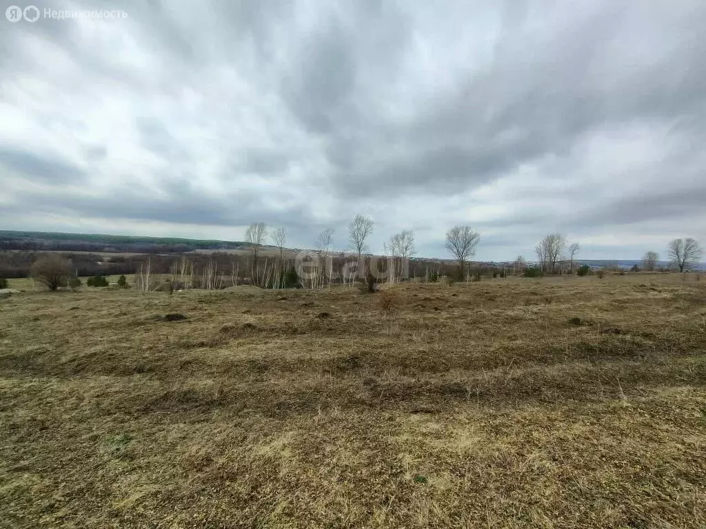 участок в село красноусольский, родниковая улица (10 м) - Фото 0