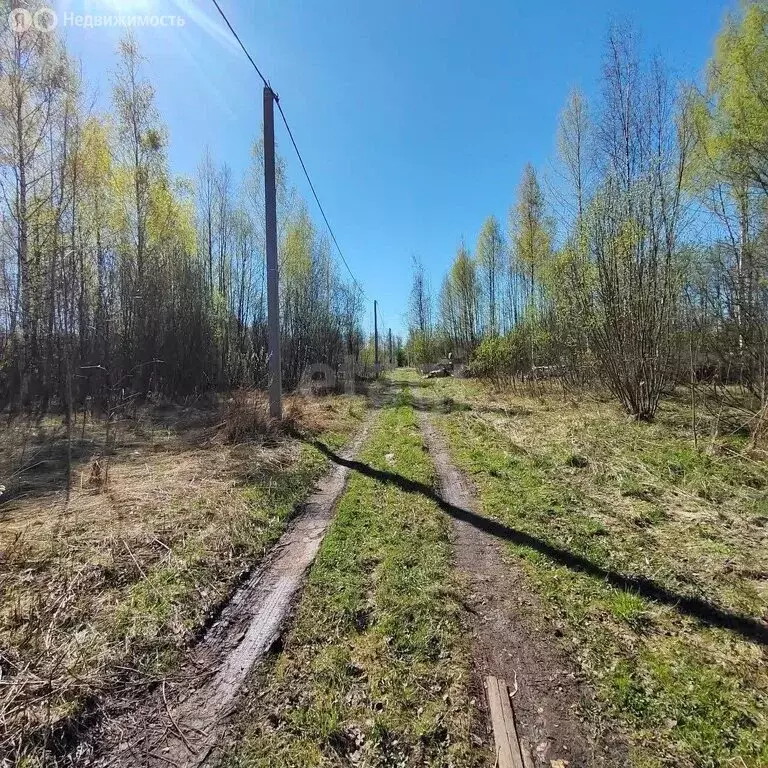 Участок в Вологда, садоводческое товарищество Медик (6.21 м) - Фото 1