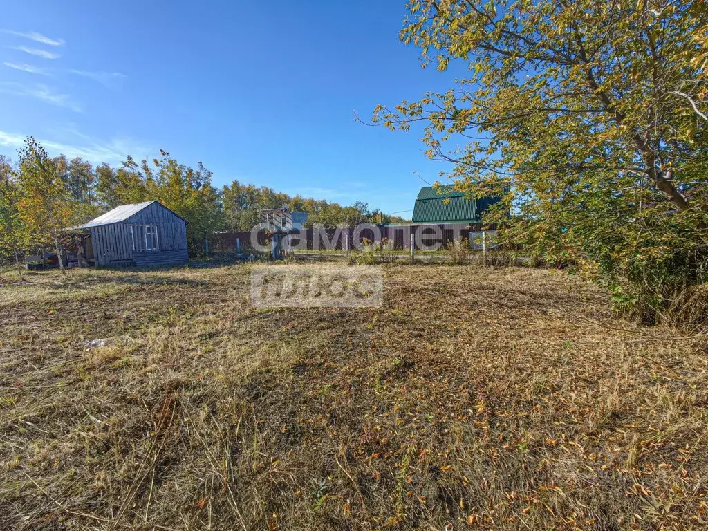 Участок в Ульяновская область, Ульяновск Дендрарий СНТ, 274 (6.5 сот.) - Фото 1