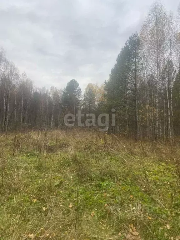 Участок в Алтай, Турочакский район, с. Усть-Лебедь ул. Речная (100.0 ... - Фото 0