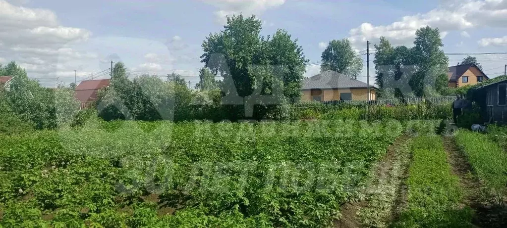 Участок в Тюменская область, Тюменский муниципальный округ, Целинное ... - Фото 2