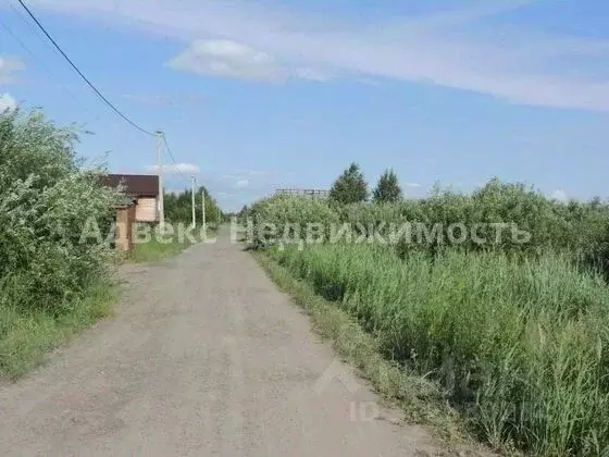 Участок в Тюменская область, Тюмень Царево садовое товарищество, ул. ... - Фото 1