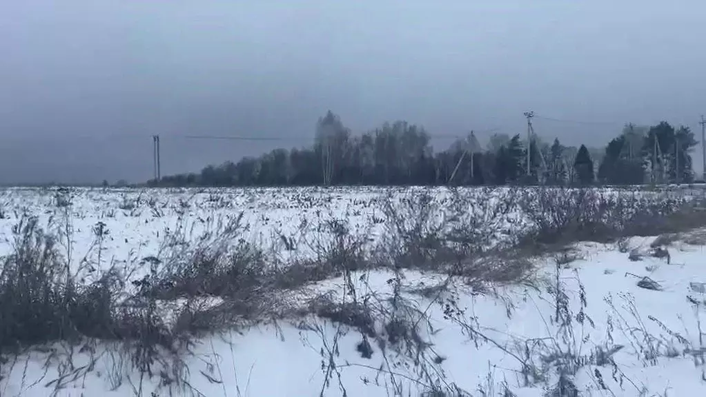 Участок в Московская область, Ступино городской округ, д. Авдотьино  ... - Фото 0