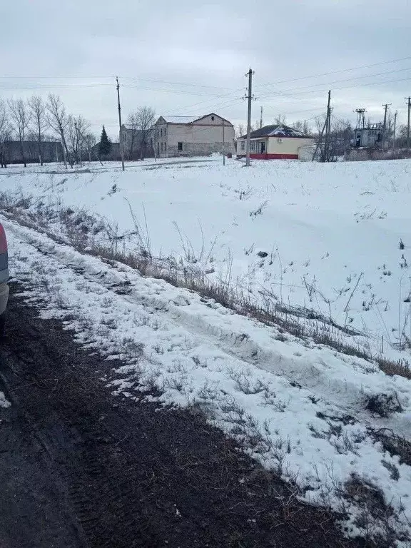 Участок в Воронежская область, Нижнедевицкий район, Верхнетуровское ... - Фото 0