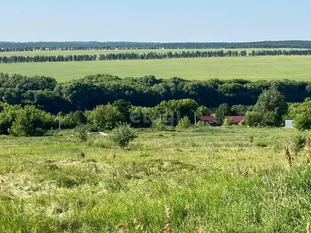 Участок в Липецкая область, Елецкий муниципальный округ, с. Голиково  ... - Фото 1