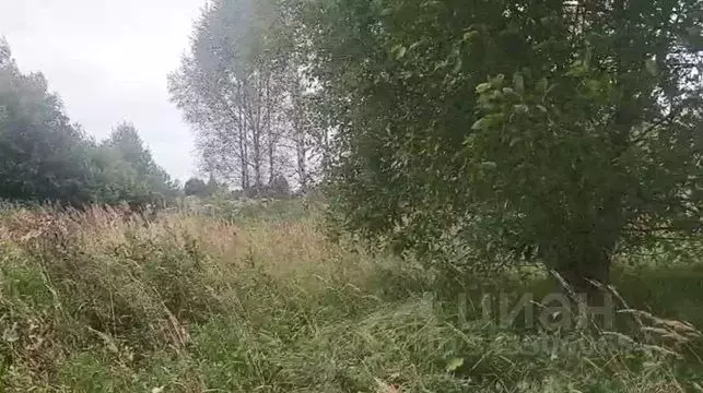 Участок в Московская область, Щелково городской округ, с. Рязанцы  ... - Фото 1