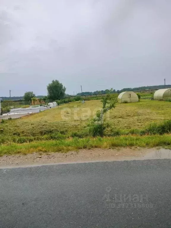 Участок в Калининградская область, Багратионовский муниципальный ... - Фото 1