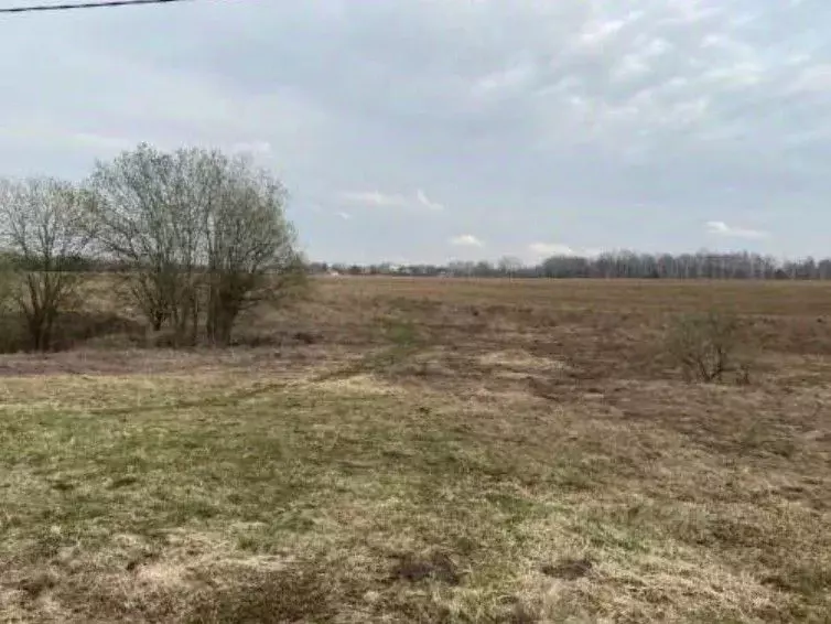 Участок в Московская область, Коломна городской округ, с. Редькино ул. ... - Фото 1