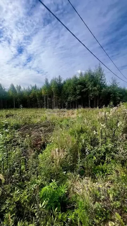 Участок в Коми, Сыктывкар городской округ, Верхняя Максаковка пгт, ... - Фото 1