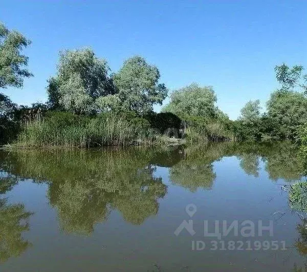Участок в Ростовская область, Аксайский район, Старочеркасская ст-ца ... - Фото 1