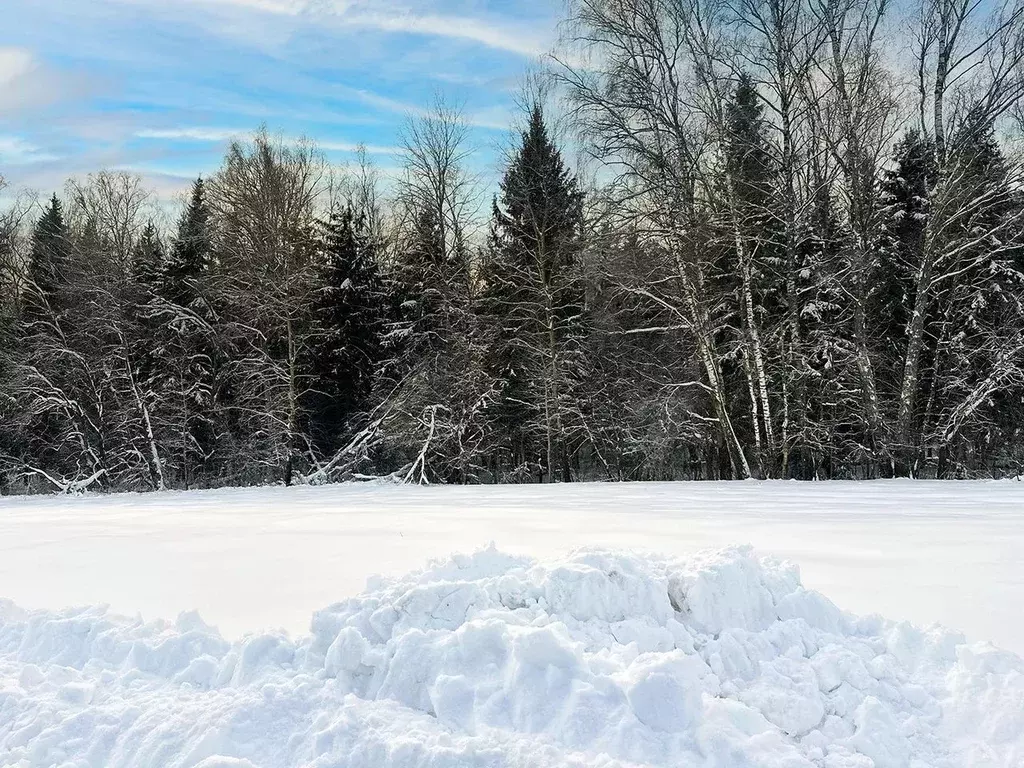 Участок в Московская область, Подольск городской округ, Пузиково кп 59 ... - Фото 2