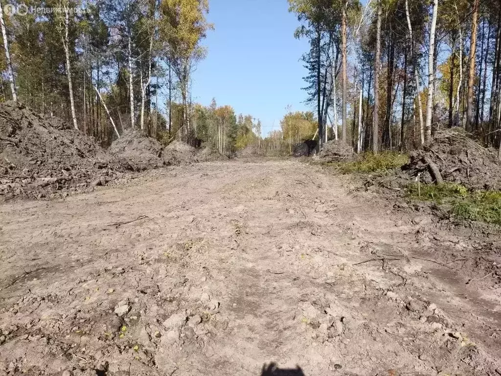 Участок в Тобольск, Красная площадь (10 м) - Фото 2