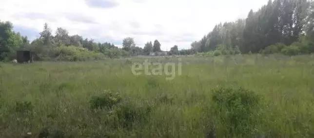 Участок в Пензенский район, Богословский сельсовет, село Богословка ... - Фото 1
