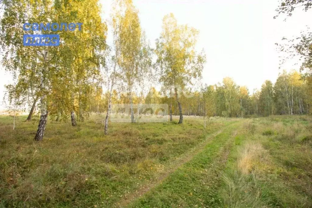 Участок в Челябинская область, Сосновский муниципальный округ, с. ... - Фото 2