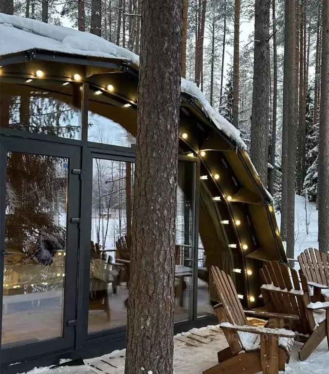 Дом в Ленинградская область, Выборгский район, Рощино пгт  (42 м) - Фото 0