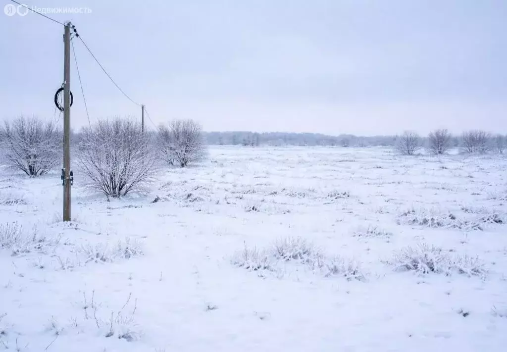 Участок в Тула (11 м) - Фото 2