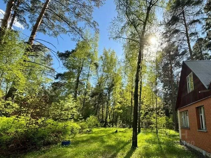 Помещение свободного назначения в Московская область, Раменский ... - Фото 2