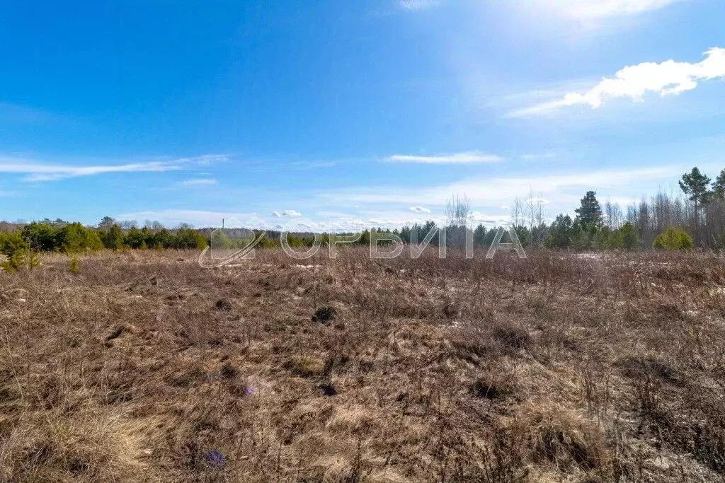 Участок в Тюменская область, Нижнетавдинский муниципальный округ, с. ... - Фото 2