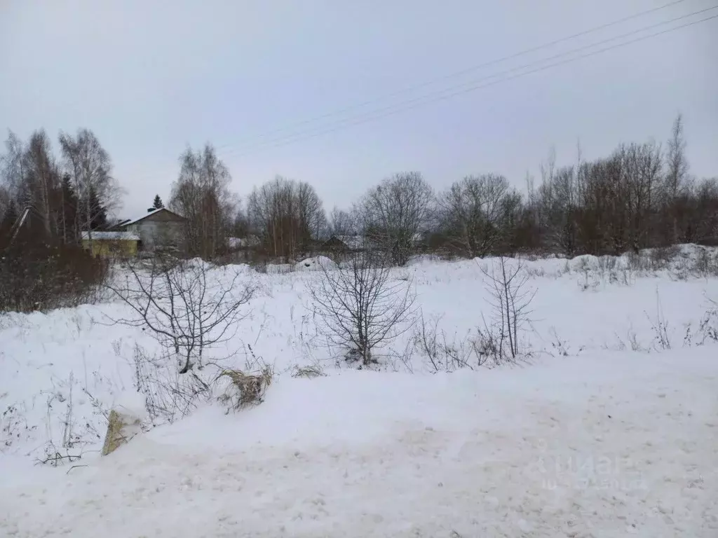 Участок в Псковская область, Псковский район, Логозовская волость, д. ... - Фото 1