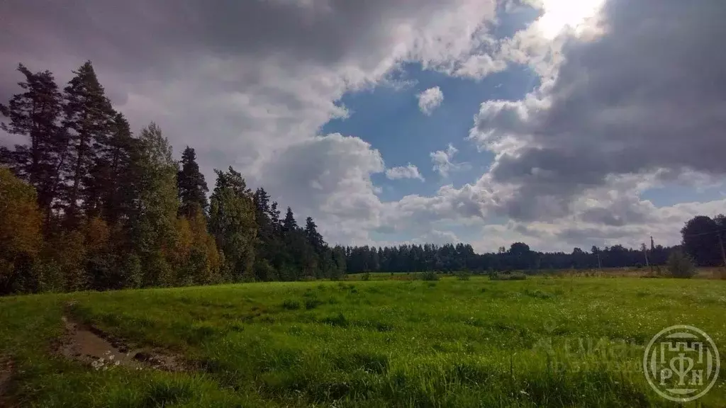 Участок в Ленинградская область, Выборгский район, Красносельское ... - Фото 1