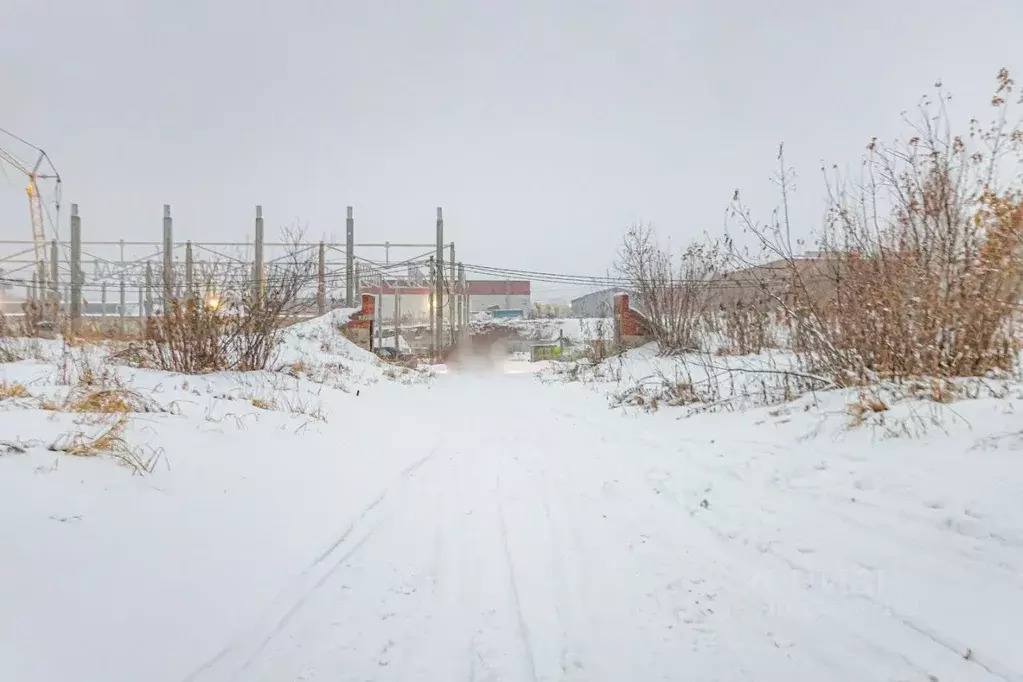 Гараж в Новосибирская область, Бердск Промышленная ул., 3 (10 м) - Фото 1