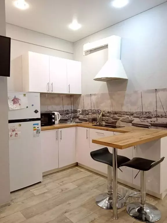 Студия Саратовская область, Саратов ул. Большая Казачья, 113/38 (32.9 ... - Фото 1