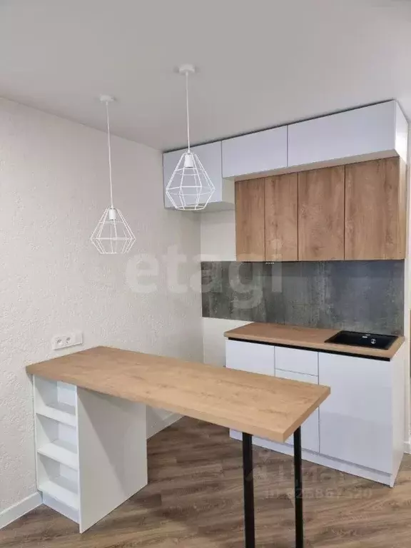 Студия Алтайский край, Барнаул Песчаная ул., 190 (24.3 м) - Фото 2