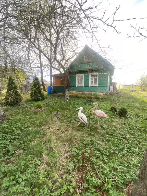 Участок в Ленинградская область, Гатчинский муниципальный округ, д. ... - Фото 1