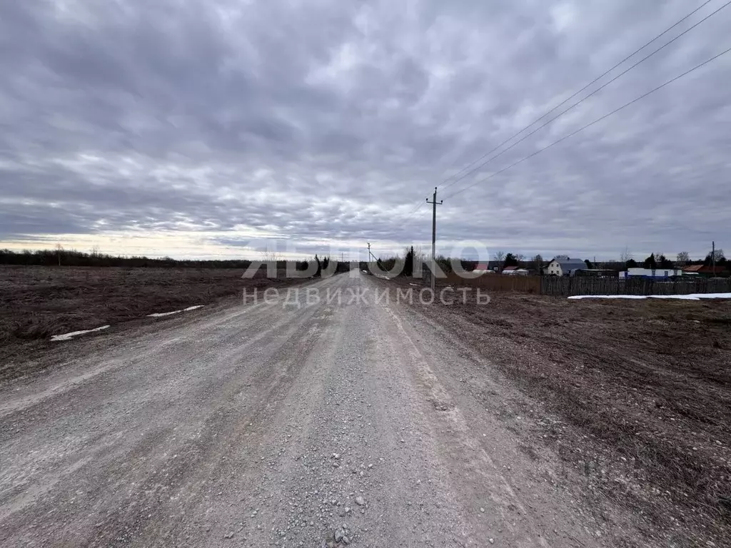 Участок в Пермский край, Березники муниципальный округ, д. Кондас ул. ... - Фото 1