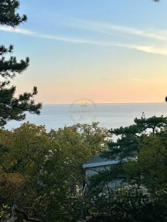 Участок в Крым, Ялта муниципальный округ, Восход пгт ул. Наташинская ... - Фото 1