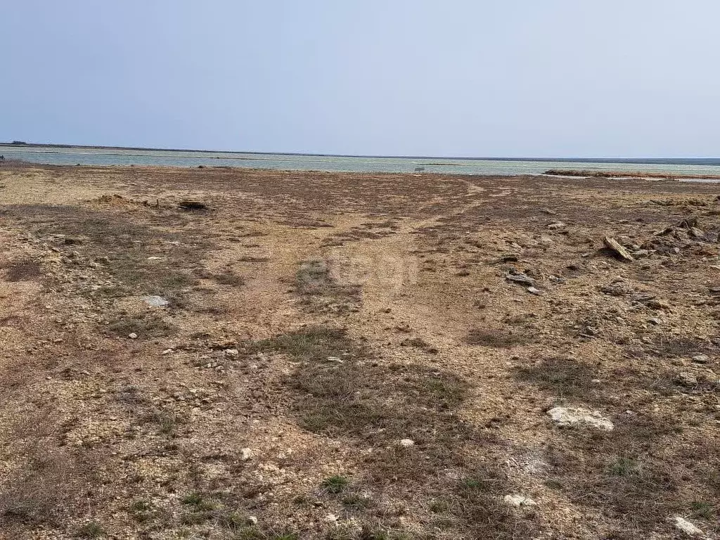 Участок в Крым, Черноморский район, с. Межводное  (10.0 сот.) - Фото 0