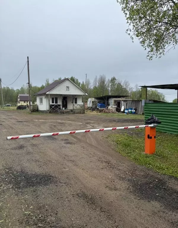 Участок в Ленинградская область, Ломоносовский район, Лопухинское ... - Фото 0