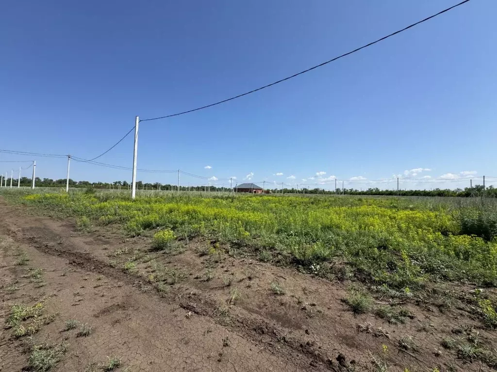 Участок в Оренбургская область, Оренбургский район, Нежинский ... - Фото 0