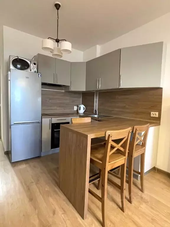 Студия Санкт-Петербург просп. Ветеранов, 171к2 (24.6 м) - Фото 0