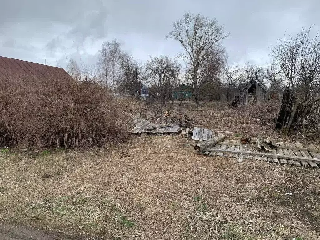 Участок в Владимирская область, Меленковский муниципальный округ, с. ... - Фото 1