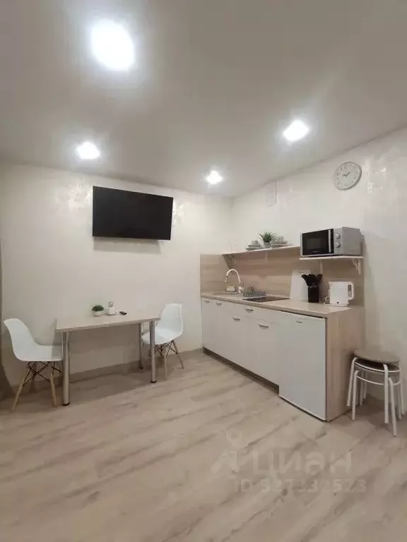 Студия Башкортостан, Уфа ул. Мира, 47 (28.0 м) - Фото 1