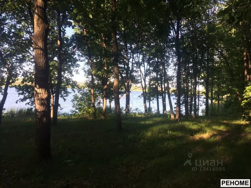 Участок в Саратовская область, Аркадакский район, с. Подгорное ... - Фото 1