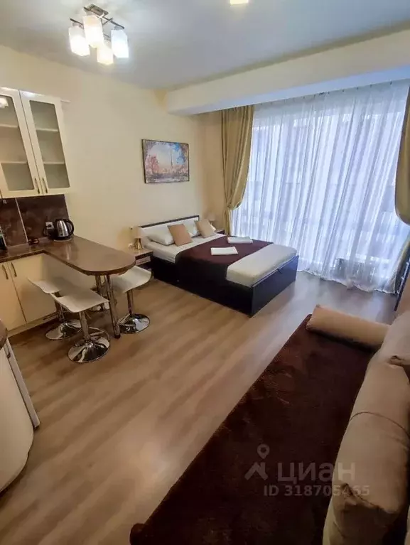 Студия Краснодарский край, Сочи Мамайка мкр, ул. Волжская, 30 (25.6 м) - Фото 0