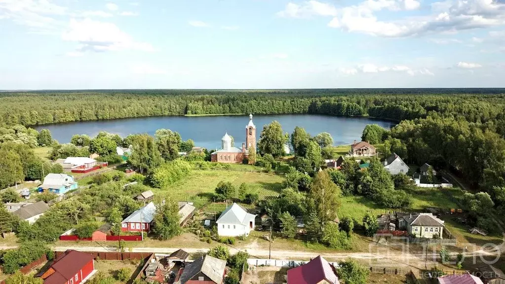 Участок в Рязанская область, Клепиковский район, Оськинское с/пос, с. ... - Фото 0