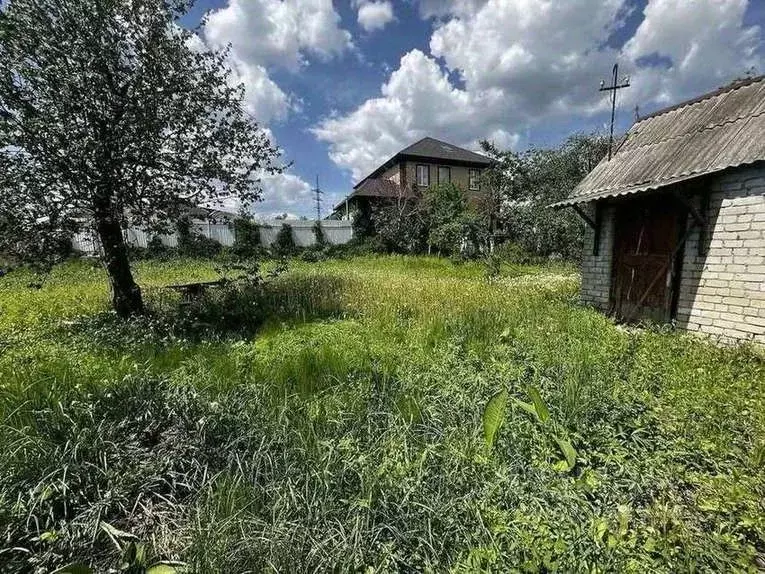 Участок в Белгородская область, Белгород Луч садовое товарищество, ... - Фото 1