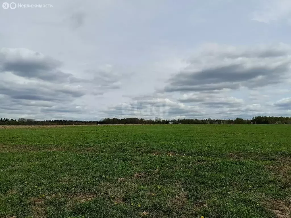 Участок в Кочкуровский район, село Сабаево (220 м) - Фото 1