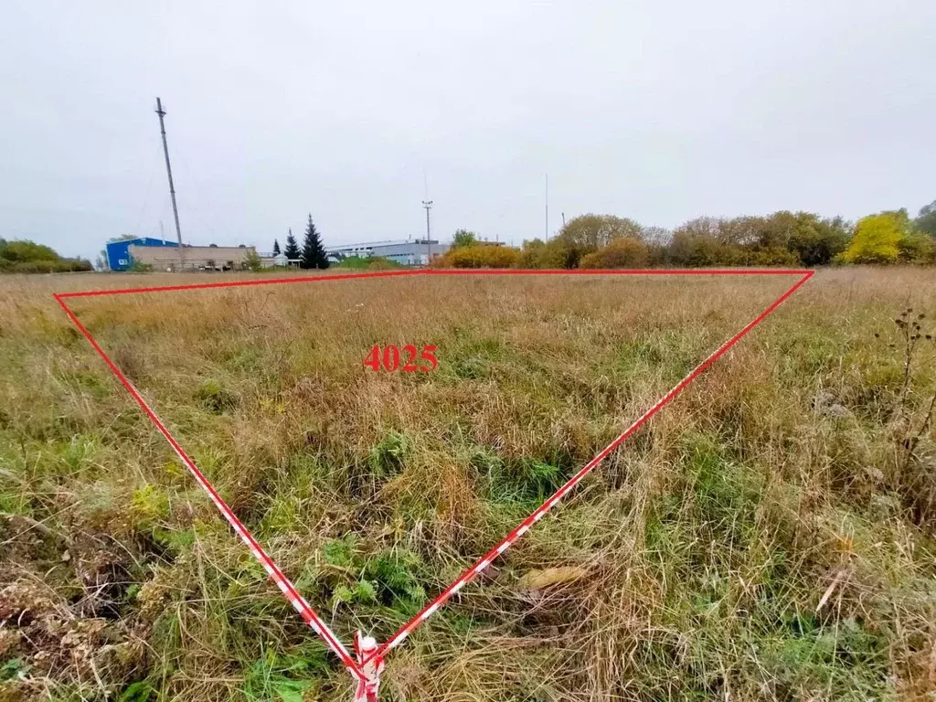 Участок в Новгородская область, Новгородский район, Савинское с/пос, ... - Фото 1