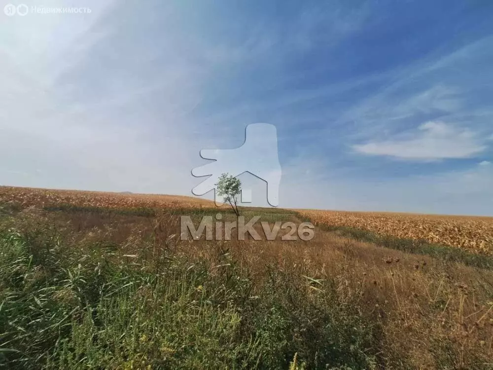 Участок в станица Константиновская, улица Ленина, 11 (280 м) - Фото 1
